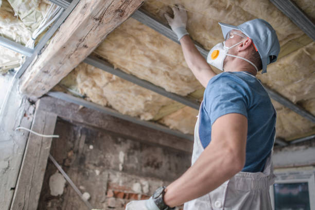 Insulation Contractors for Homes in Labadieville, LA