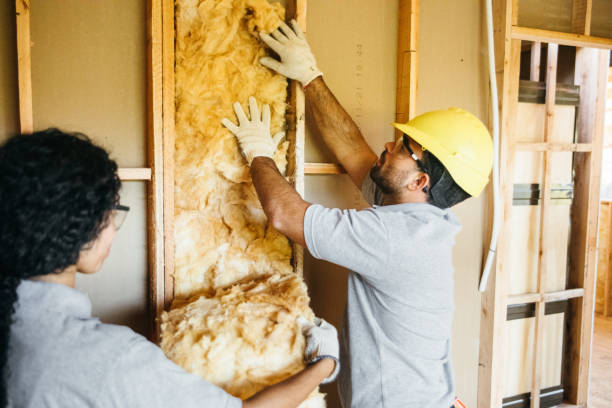 Best Residential Insulation Services  in Badieville, LA